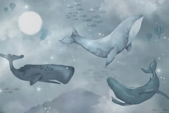 Fototapeta: Gwieździste niebo z wielorybami bajkowy wzór dziecięcy w stylu