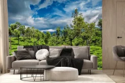 Fototapeta: Herbata plantacji w górach