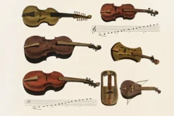 Fototapeta: Historyczne skrzypce i wiolonczele
