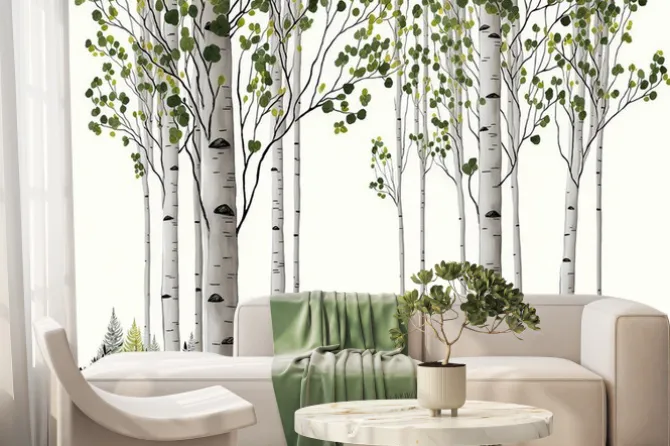 Fototapeta: Ilustracja letniego brzozowego lasu