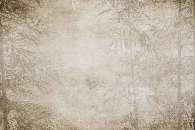 Fototapeta: Imitacja tropikalnego lasu na papierze
