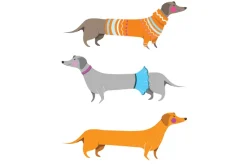 Fototapeta: Jamniki w ubraniach na białym tle