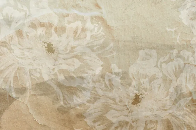 Fototapeta: Jasne kwiaty piwonie