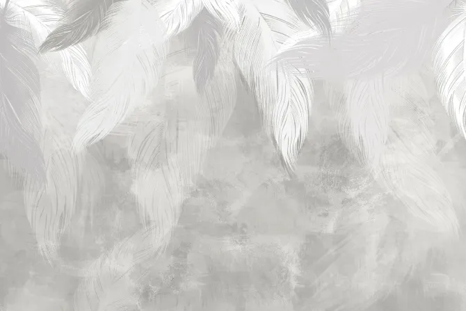 Fototapeta: Jasne pióra