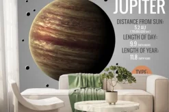 Fototapeta: Jowisz - infograficzna prezentuje jedną z planet układu słonecznego