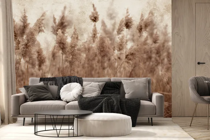 Fototapeta: Łąka z suszonymi trawami trzciny