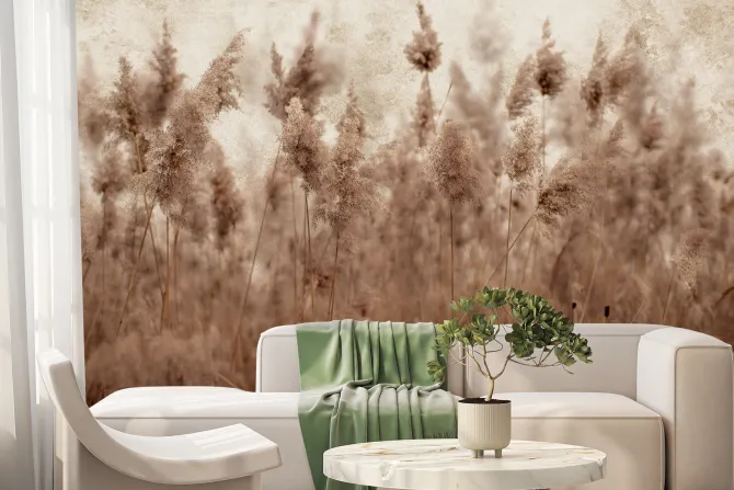 Fototapeta: Łąka z suszonymi trawami trzciny