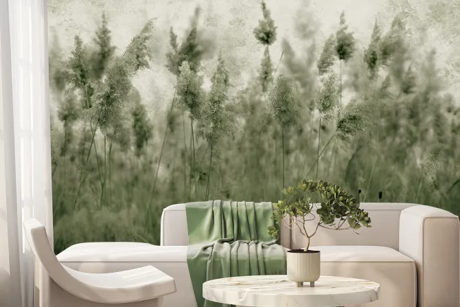 Fototapeta: Łąka z suszonymi trawami trzciny