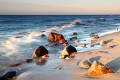 Fototapeta: Kamienie na plaży o zachodzie słońca