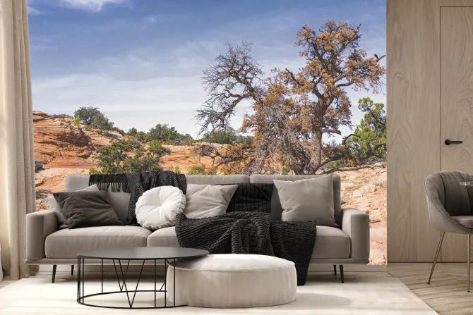 Fototapeta: Kamienna pustynia z roślinnością