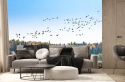 Fototapeta: Kanadyjskie gęsi migracji