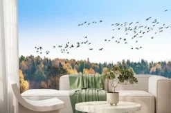 Fototapeta: Kanadyjskie gęsi migracji