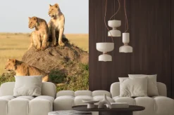 Fototapeta: Kenia, afryka, masai mara, samica lwa z młodymi.