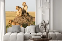 Fototapeta: Kenia, afryka, masai mara, samica lwa z młodymi.