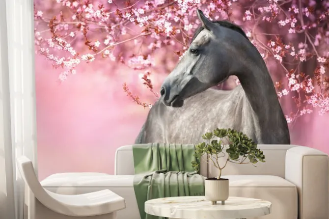 Fototapeta: Koń źrebak przy kwitnącym drzewie wiśni