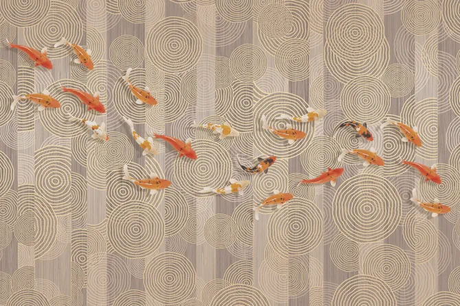 Fototapeta: Koi na tle geometrycznych kształtów nowoczesna kompozycja