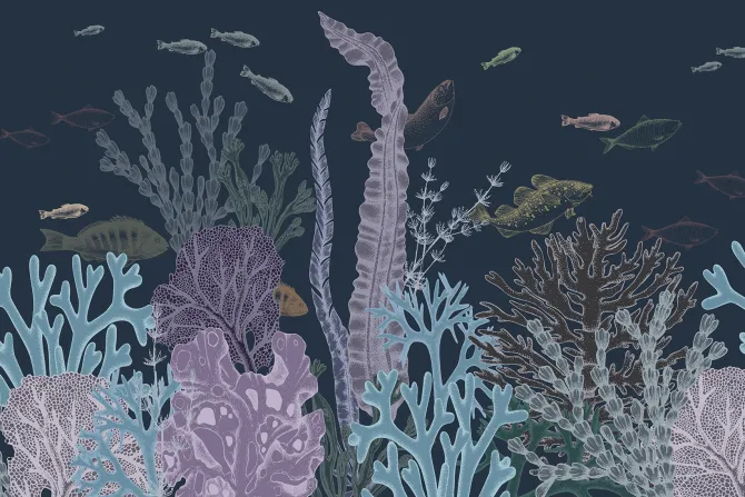 Fototapeta: Kolorowa rafa koralowa z rybami w minimalistycznym stylu