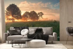 Fototapeta: Kolorowa wiosna wschód słońca na łące