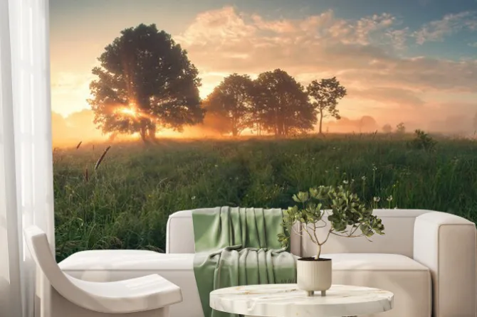 Fototapeta: Kolorowa wiosna wschód słońca na łące