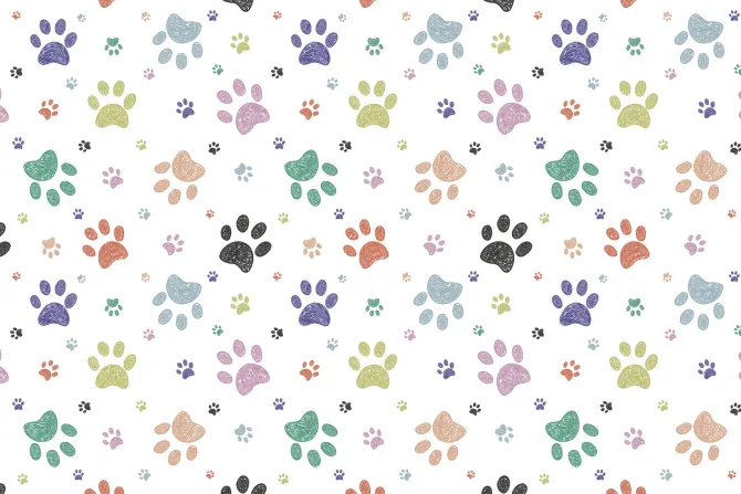 Fototapeta: Kolorowe łapy psów