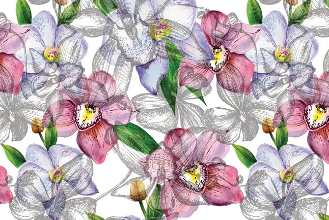 Fototapeta: Kolorowe rysowane orchidee