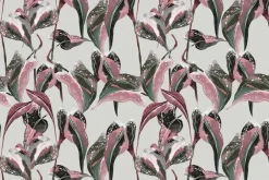 Fototapeta: Kolorowe tropikalne liście z różem