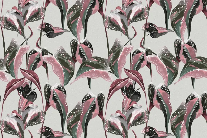 Fototapeta: Kolorowe tropikalne liście z różem