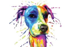 Fototapeta: Kolorowy portret psa w akwareli