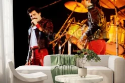 Fototapeta: Koncert zespołu queen