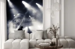 Fototapeta: Kołysać scenie koncertowej. gitarzysta gra na gitarze elektrycznej.