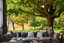 Fototapeta: Krajobraz ławka w parku jesienią