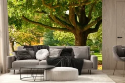 Fototapeta: Krajobraz ławka w parku jesienią