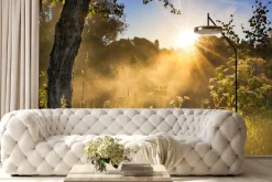 Fototapeta: Krajobraz łąki z wschodem słońca