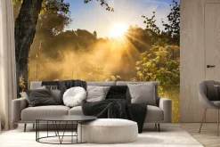 Fototapeta: Krajobraz łąki z wschodem słońca