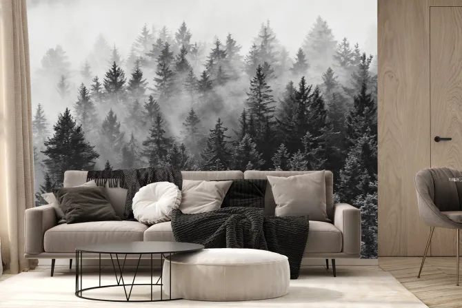 Fototapeta: Krajobraz lasu iglastego we mgle