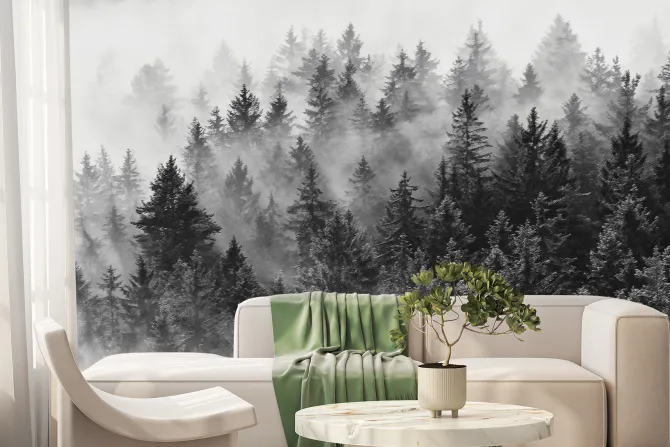 Fototapeta: Krajobraz lasu iglastego we mgle