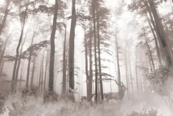 Fototapeta: Krajobraz lasu w porannej mgle