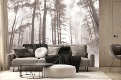 Fototapeta: Krajobraz lasu w porannej mgle