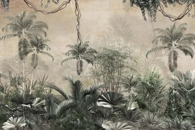 Fototapeta: Krajobraz tropikalnej dżungli