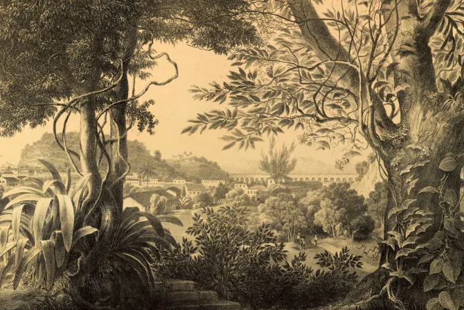 Fototapeta: Krajobraz w stylu vintage rośliny drzewa natura