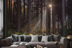 Fototapeta: Krajobraz wschód słońca w lesie