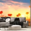 Fototapeta: Krajobraz z makami o zachodzie słońca