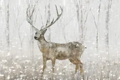 Fototapeta: Krajobraz zimowego lasu z jeleniem