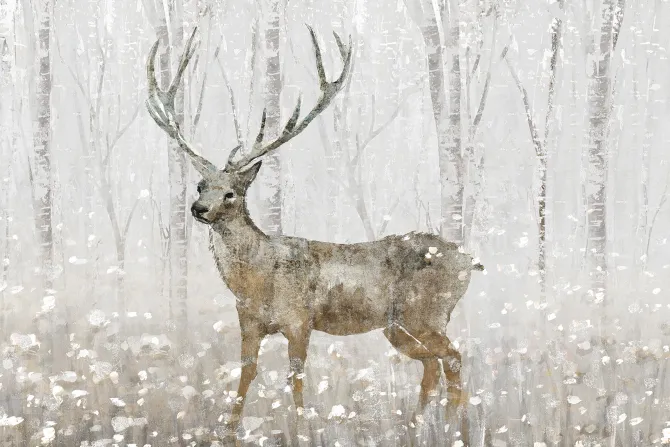 Fototapeta: Krajobraz zimowego lasu z jeleniem