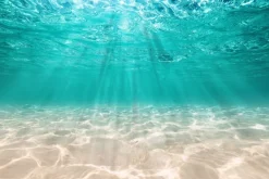 Fototapeta: Krystalicznie czyste morze i piaszczyste dno