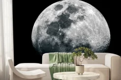 Fototapeta: Księżyc na nocnym niebie