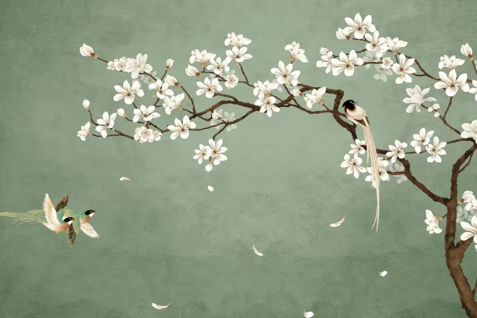 Fototapeta: Kwiat wiśni z ptakami na zielonym tle