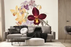 Fototapeta: Kwiaty kolorowych orchidei na jasnym tle