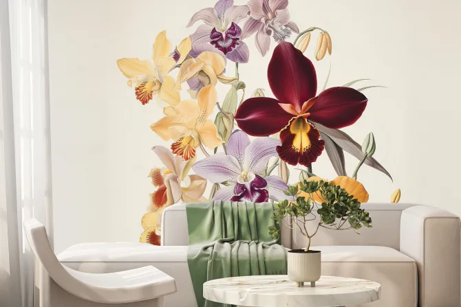 Fototapeta: Kwiaty kolorowych orchidei na jasnym tle