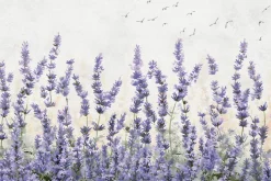 Fototapeta: Kwiaty lawendy na tle ptaków